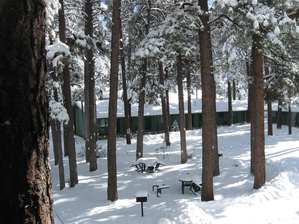 Timberlodge Inn ไพน์ท็อป-เลคไซด์ ห้อง รูปภาพ
